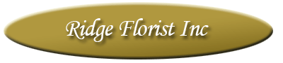 Ridge Florist Inc - Order flowers for same day delivery. - Avon Park, FL 33825.